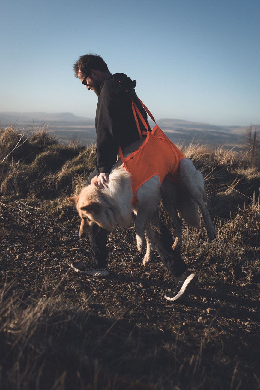 dog_rescue_sling_setting_1.jpg
