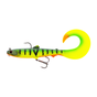 Tiger Perch