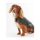 dco0003ol71_03getthelook_model.png