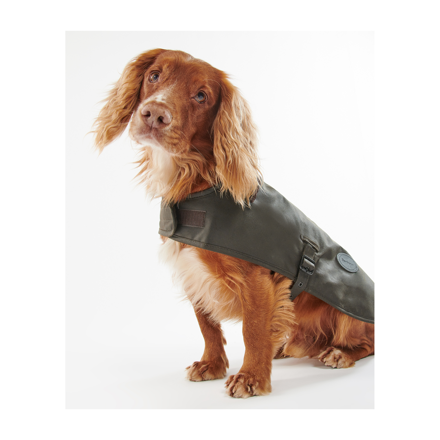 dco0003ol71_03getthelook_model.png
