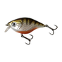 Perch