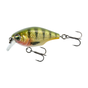 Holo Perch