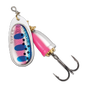 Rainbow Trout