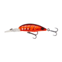 Red Shrimp