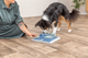 prod1000-dog_32013-2.png