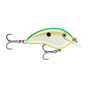 Citrus Shad
