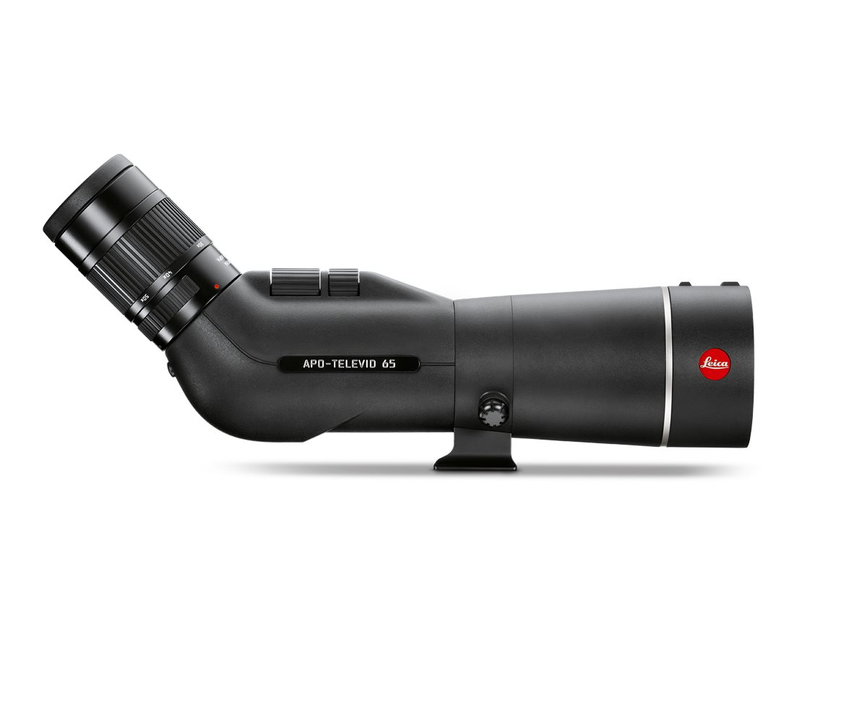J0053377_1.png