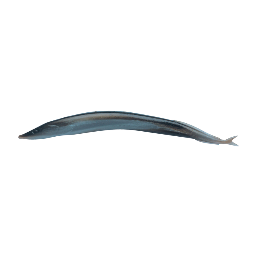 1309091_ms.png