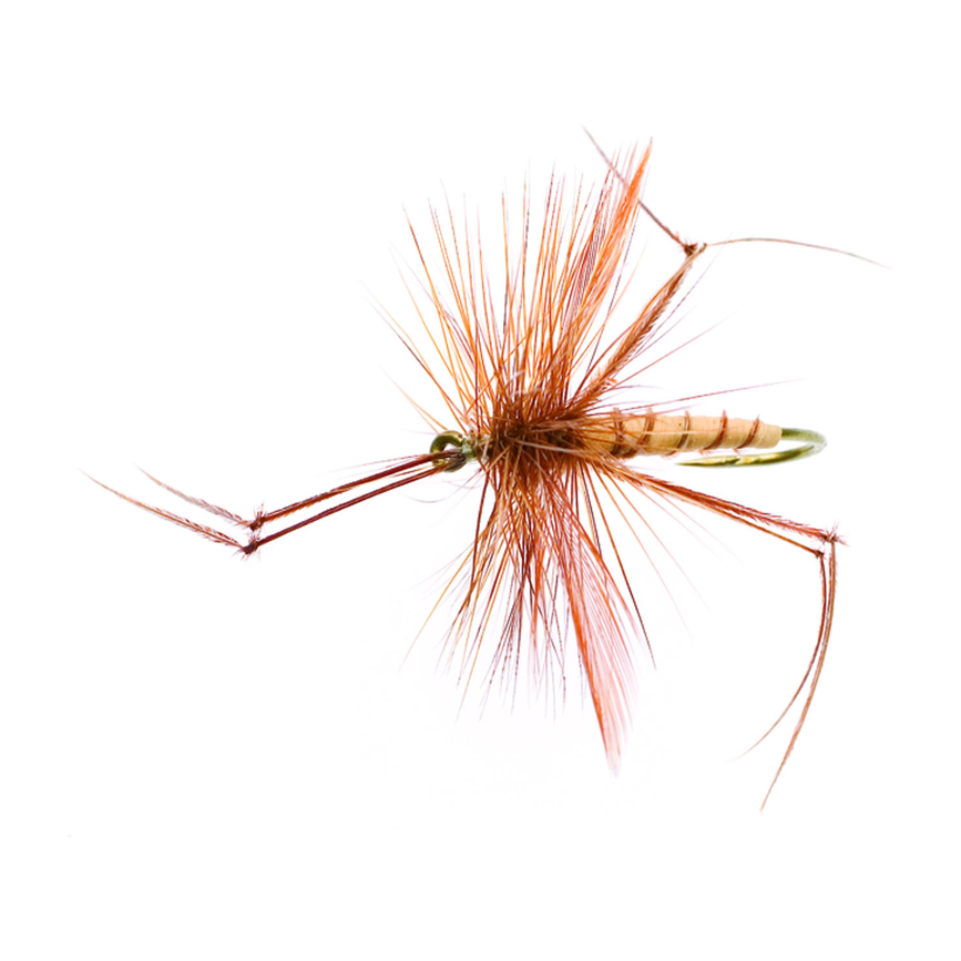 4-fairpoint-public-pim-bc-9fa069ed-33f0-4744-824a-b3d2d4570678-fl35099zf_fl44108_large.png