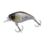 Baitfish