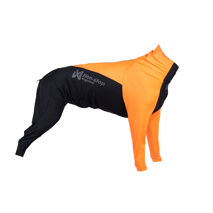 protector_suit 1.png