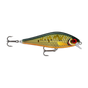 Scaled Roach