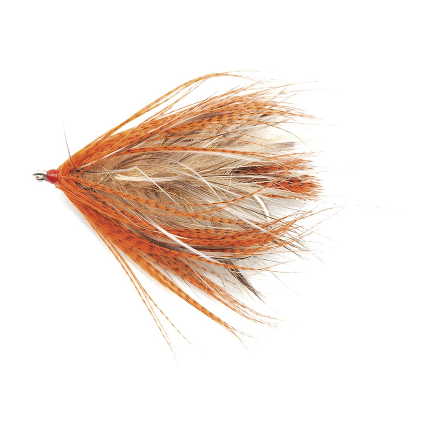4-fairpoint-public-pim-bc-2f87974c-e6c0-422a-b360-9a1b675bbdd5-fl00599xi_fl11272_large.png