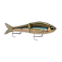 Smelt on the beach