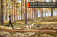 freemotion_harness_setting_1.png