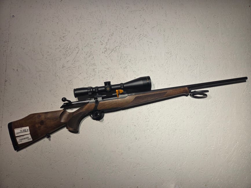 12936 Sauer.jpg