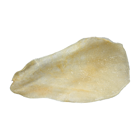prod1000-2726_(2).png