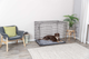 prod1000-dog_39305-1_.png