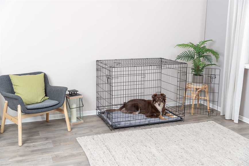 prod1000-dog_39305-1_.png