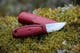 morakniv_eldris s_red 2.jpg