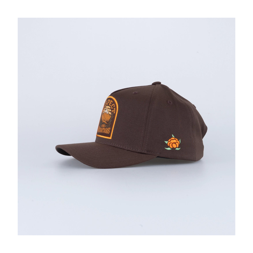 files-respectb-framekeps-brown1.png