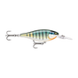 Gilded Blue Gill