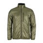 Moss Green