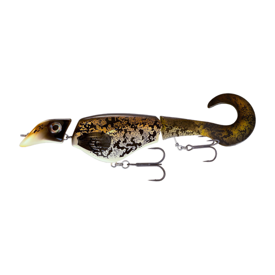 0035-7475-9494-files-colossus-curly_burbot.png