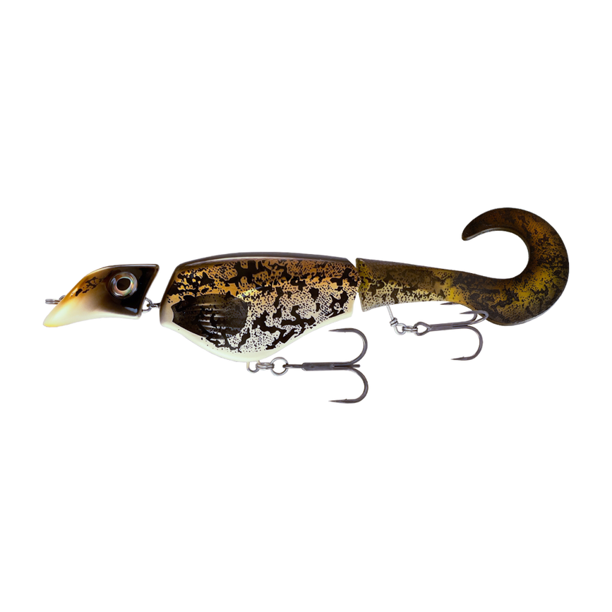 0035-7475-9494-files-colossus-curly_burbot.png