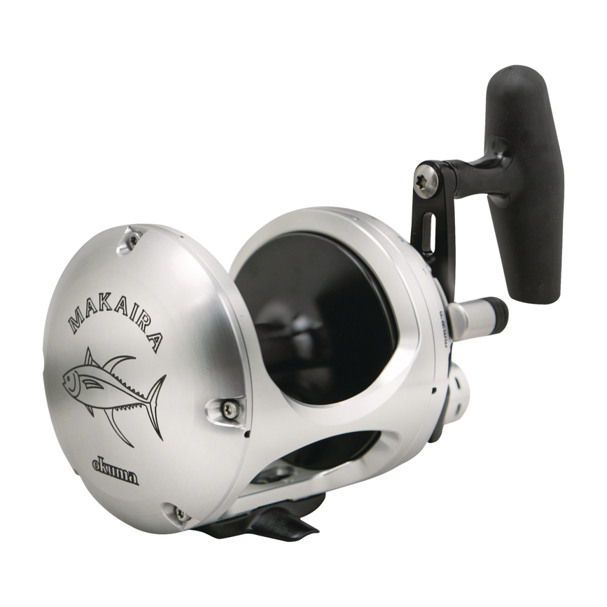 image-247222311749-image_n4nldtgod11mbe6jfboandd37i--s1536x2048-fpng-136489_swatch.png