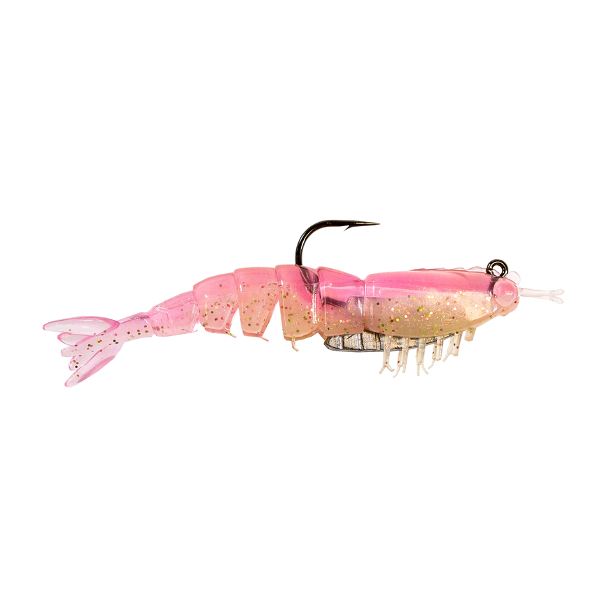 ezsr-326pk2.png