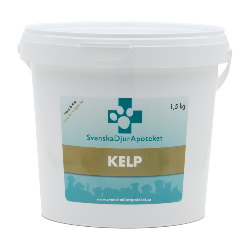 kelp_1_5kg_uppd_2048x2048.png