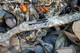 08_img_affinity_3_max_7-1620x1080.png