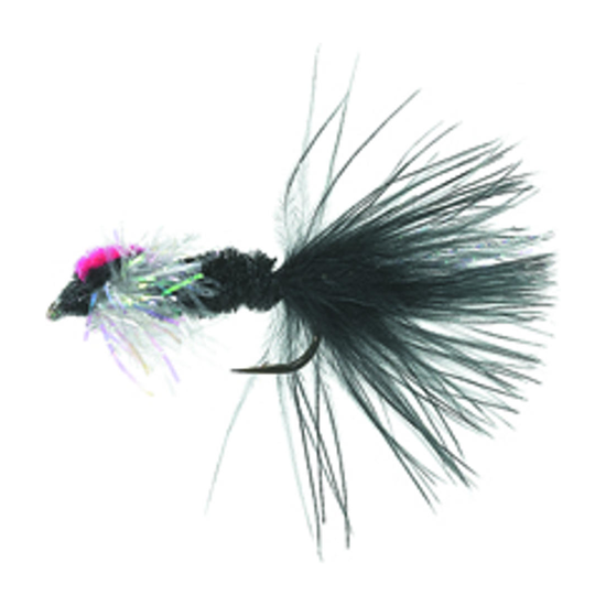 4-fairpoint-public-pim-bc-3d9c9a27-a97c-4586-ab4f-d37c8c6df0b5-fl20000h_fl20008_large.png