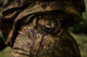 102416003_d04.png