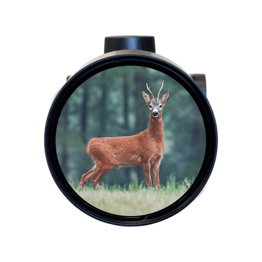 4a-bd-9c-1678178760-ranger6_after_highcontrast.png
