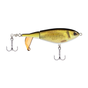 HD Golden Shiner