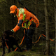 swedteam-agung-pim-images-upload-100421551_environment_1.jpg.jpg.png