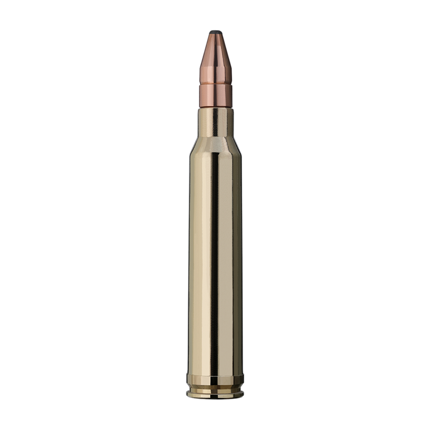 user_upload-rws-bilder-produkte-munition-buechsenpatronen-patronen-2117878_rws_300wm_dk_10,7g_einzelpatrone-seite.png