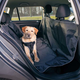 prod1000-pho_pro_dog_13472-1.png