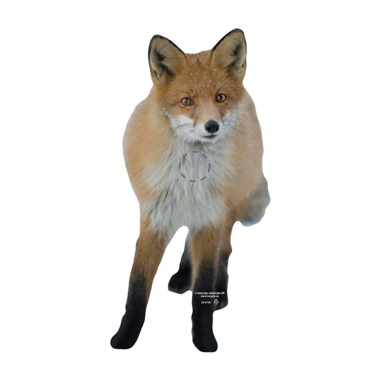 22-5125ravfront.png