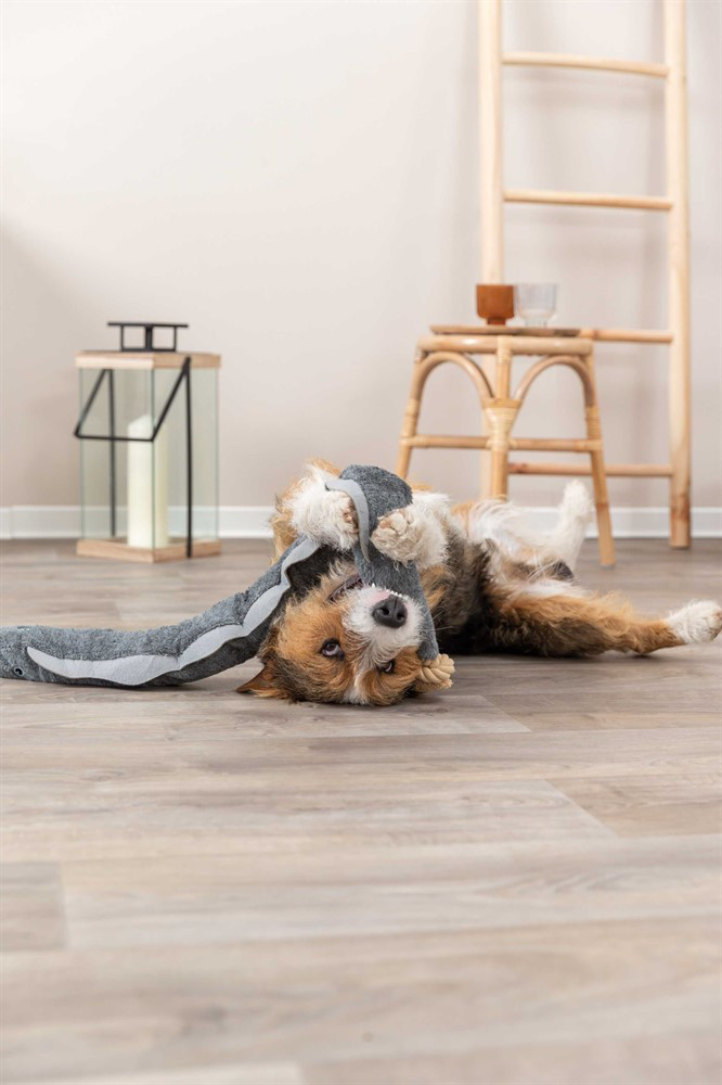 prod1000-dog_36048-36049-1.png