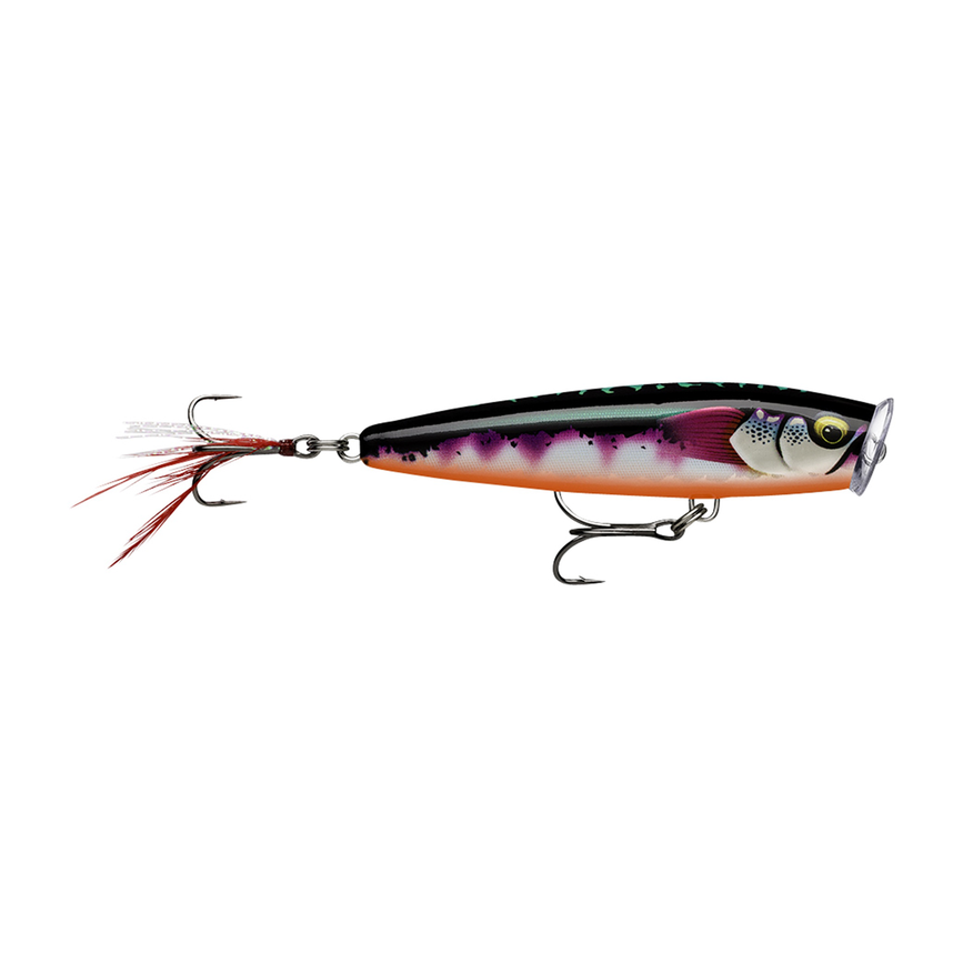 api-2000x2000,fit-new-151531.png