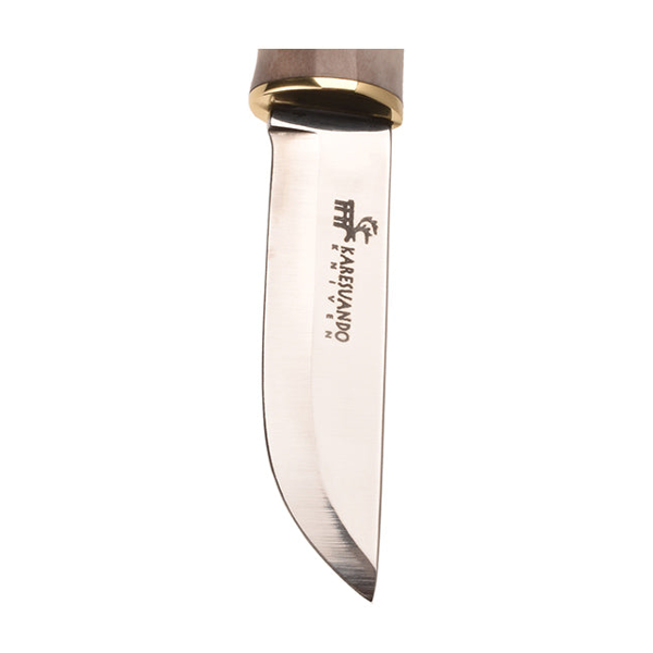 cdn-shop-files-156508584-origpic-7fc058_1080x.png