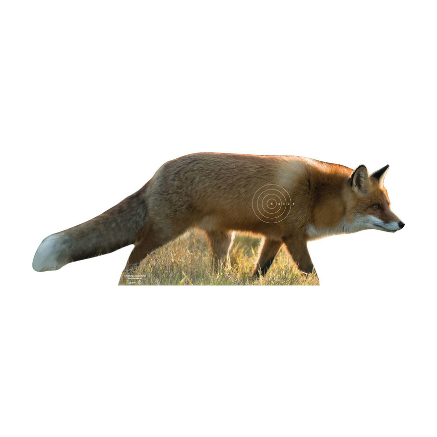 22-5171ravringad.png