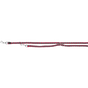 Fuchsia-Grafit
