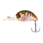Oikawa Perch