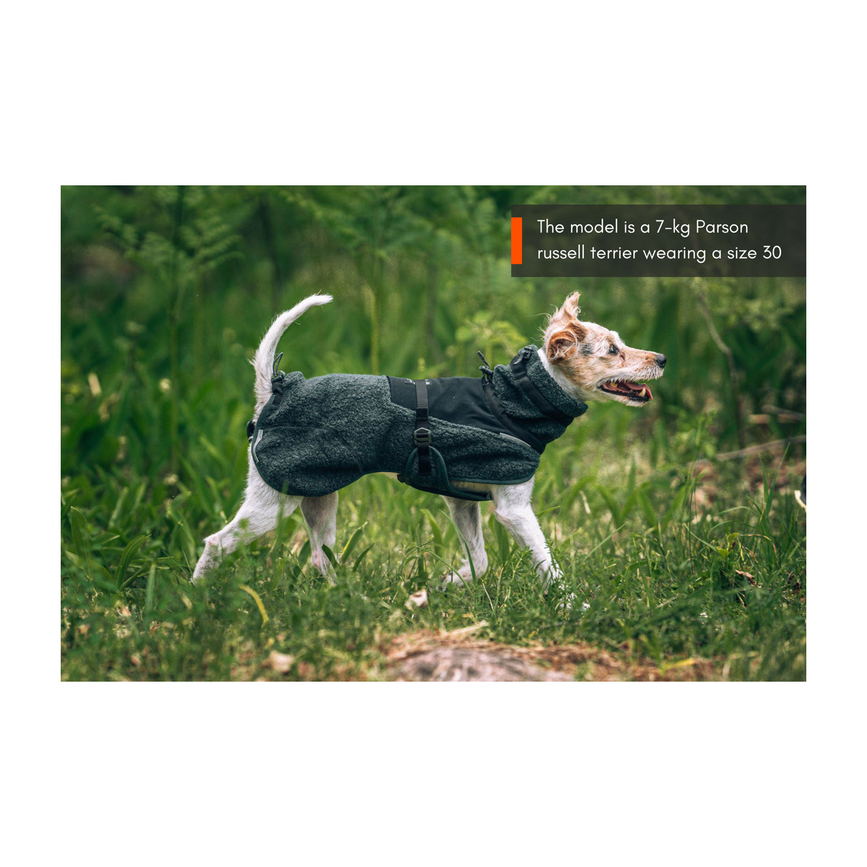 wool_dog_jacket_setting_1.png