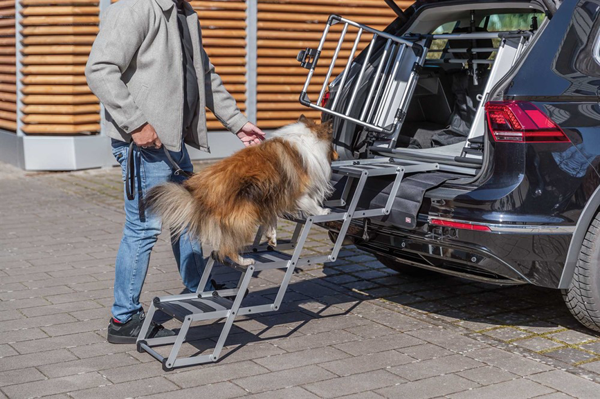 prod1000-e_dog_sheltie-odin-heckgitter-treppe-auto-4.png