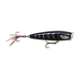 Gilded Night Aurora